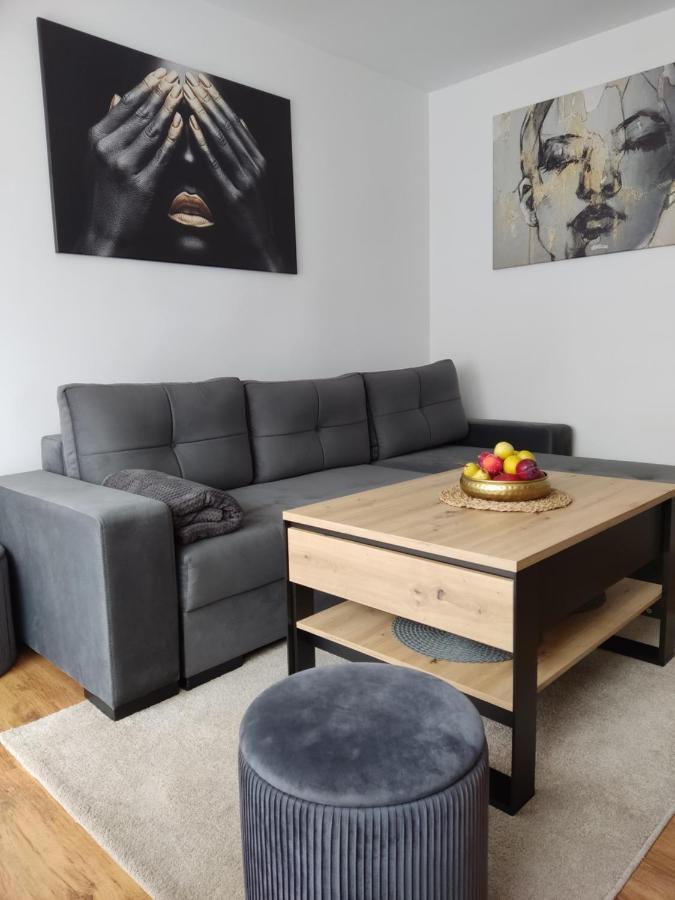 Apartament Janis Appartement Zator Buitenkant foto
