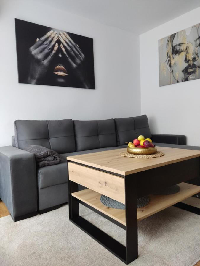 Apartament Janis Appartement Zator Buitenkant foto